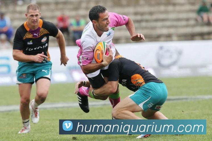 战术演练